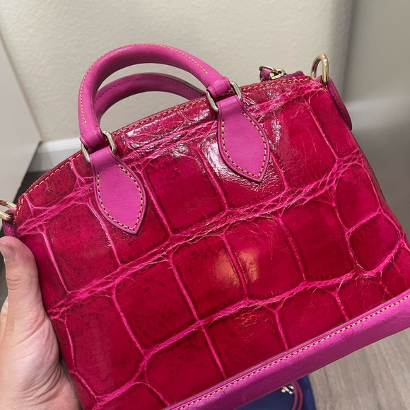 Dooney & Bourke Strawberry Crossbody Satchel - Picture 4 of 5